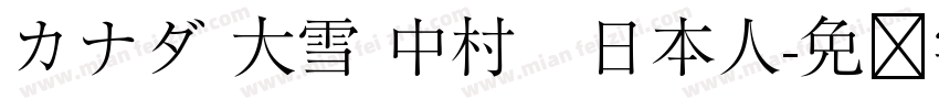 カナダ 大雪 中村　日本人字体转换